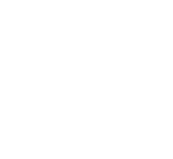 Logo Interpol